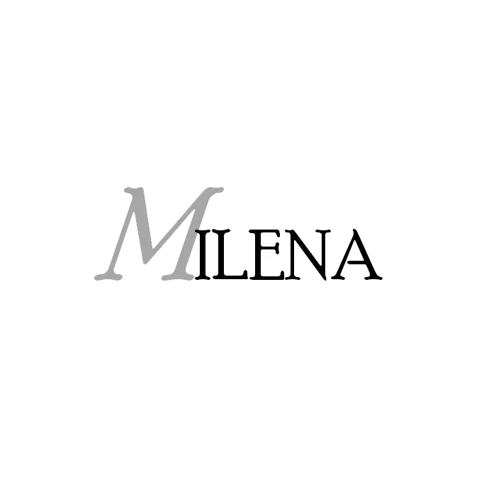 MILENA Brooch Silver Baltic Amber and Turquoise Kingfisher